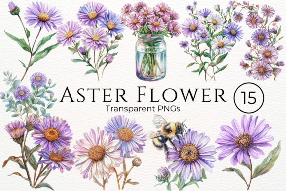 Download Aster Flower Watercolor Cliparts - Aster flower watercolor cliparts Collection