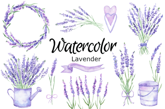 Download Lavender Watercolor Clip Art - Lavender watercolor Collection