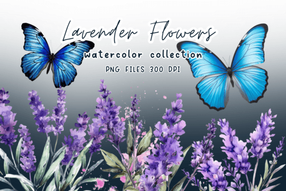 Download Lavender Watercolor Flower Clipart - Lavender watercolor Collection